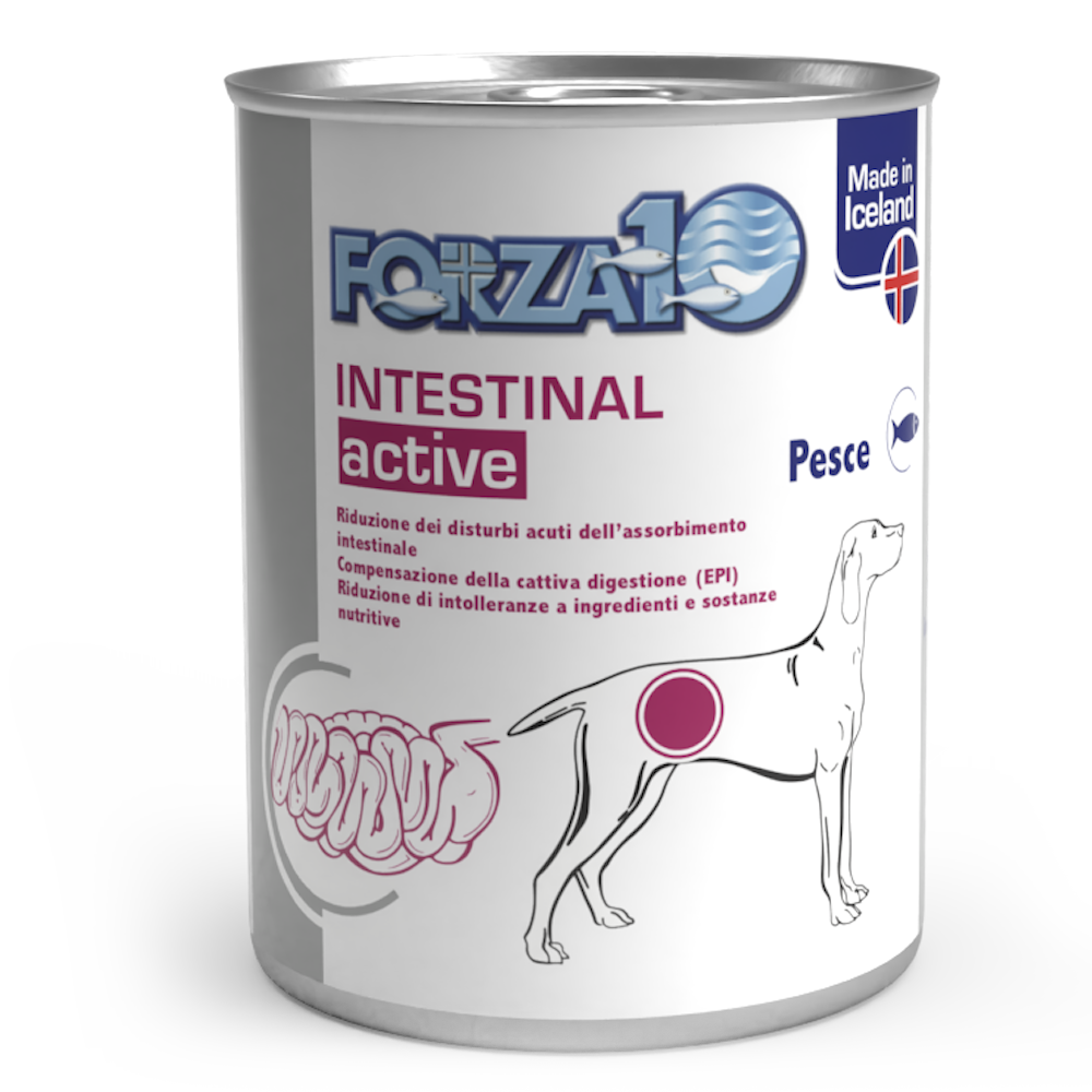 Intestinal active - Pesce 390 gr x6pz