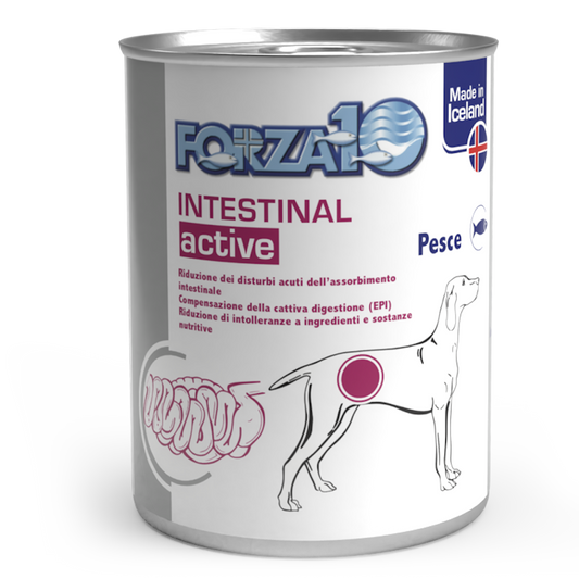 Intestinal active - Pesce 390 gr x6pz