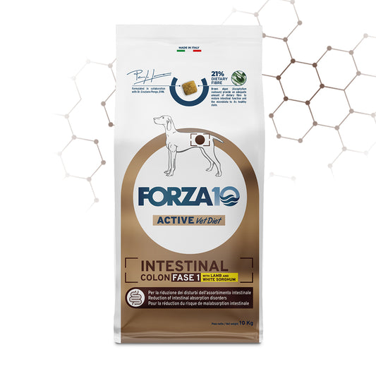 Intestinal Colon Fase I con Agnello e Sorgo Bianco Active Vet Diet 10 kg