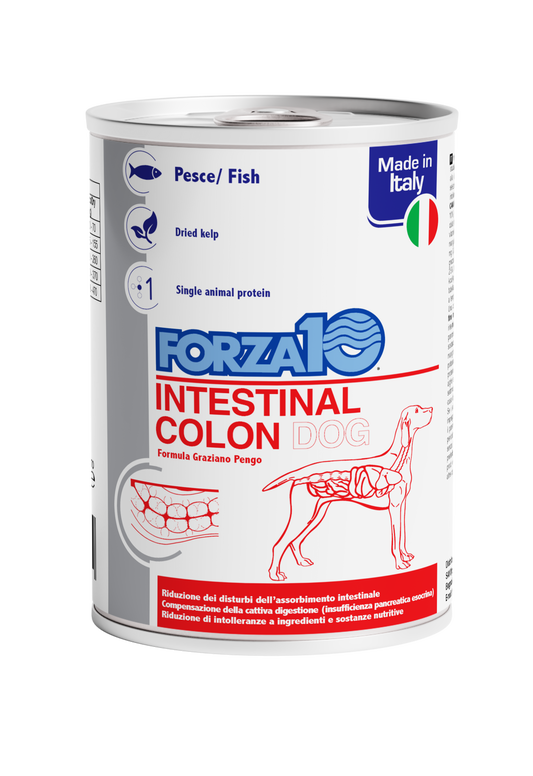 Intestinal Colon - Pesce 390 gr x6pz