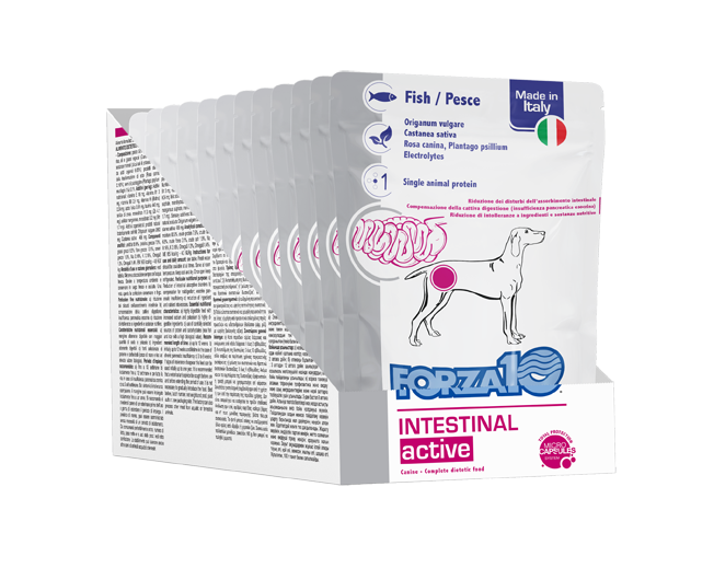 Intestinal active - Pesce 100 gr x12pz