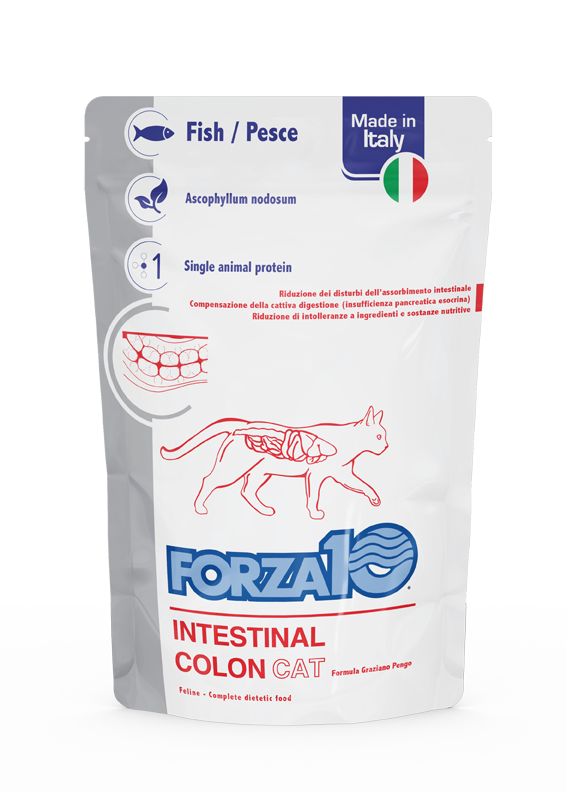 Gatto Intestinal Colon Active Vet Diet - Pesce 100 gr x12pz