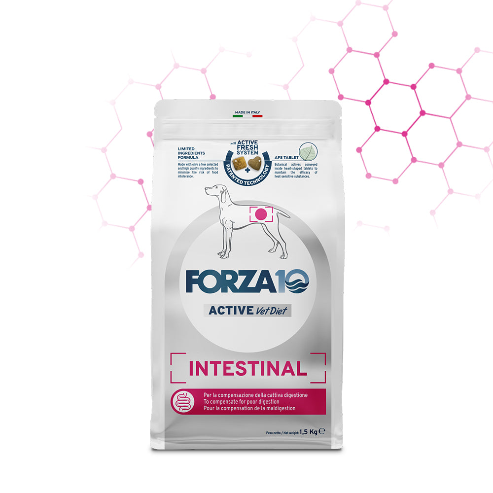 Intestinal Active Vet Diet 4 kg