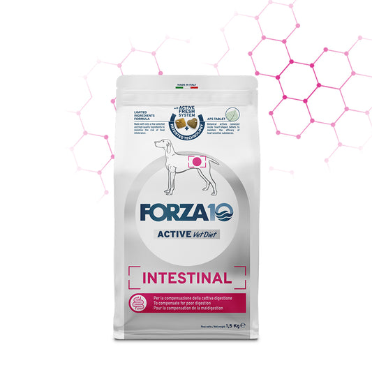 Intestinal Active Vet Diet 10 kg