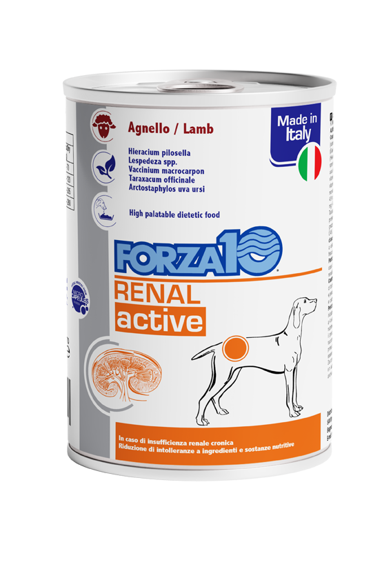 Renal active - Agnello 390 gr x6pz